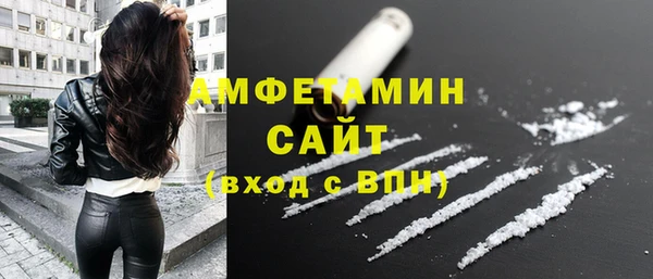 индика Балабаново