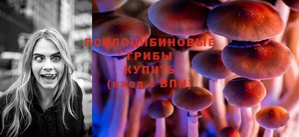 индика Балабаново