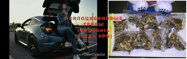 индика Балабаново
