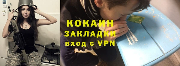индика Балабаново