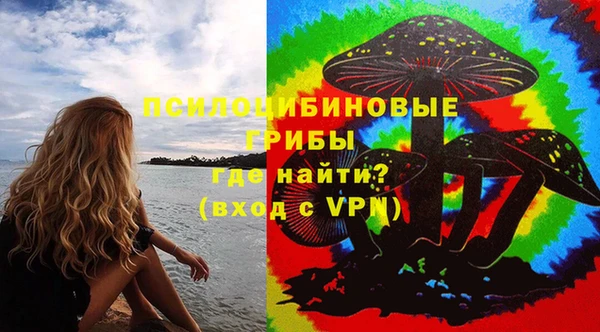 тгк Дмитров