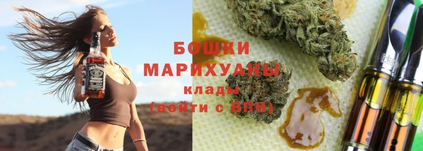 индика Балабаново