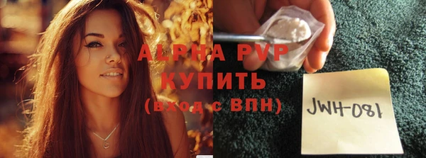 индика Балабаново
