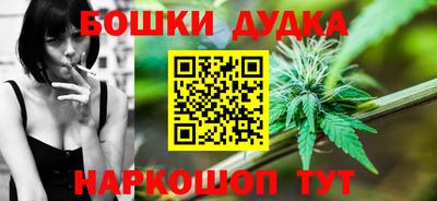 индика Бийск